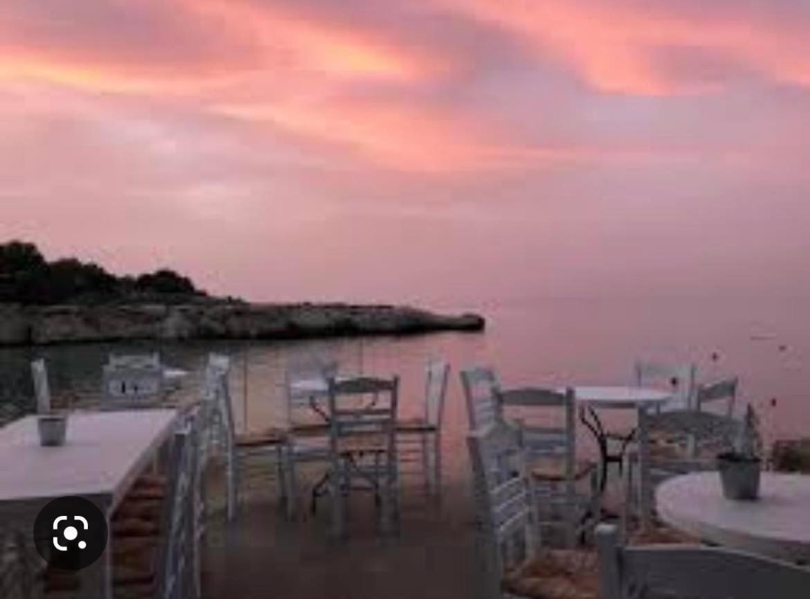 Tsokkos 4* Protaras
